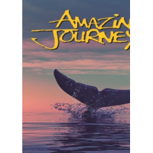 Documentary - Amazing Journeys