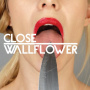Close - Wallflower