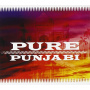 V/A - Pure Punjabi