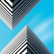 Snow Palms - Land Waves