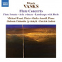 Vasks, P. - Flute Concerto