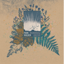 Park Walker - Distant Phenomena
