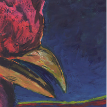 Merzbow - Plasma Door