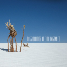 V/A - Possibilities of Circumstances