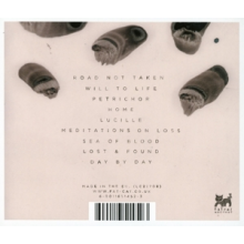 Tall Ships - Impressions