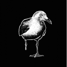 Stiff Richards - State of Mind