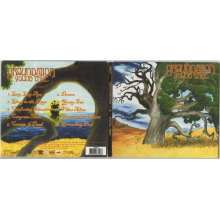 Groundation - Young Tree