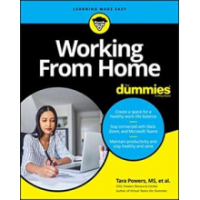 Book - Working From Home For Dummies