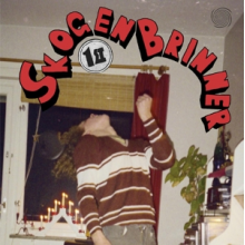 Skogen Brinner - 1st