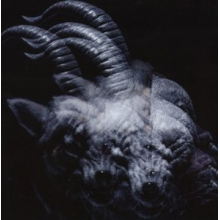 Gazette - Beautiful Deformity