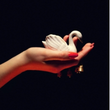 Pale Spring - Cygnus