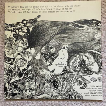 Tunng - Mother's Daughter and Other Songs (Clear)