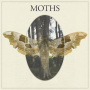 Moths - Moths