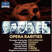 Various - Opera Rarities