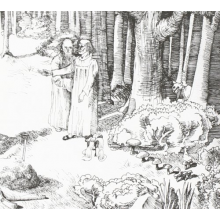 Halo, Laurel - Chance of Rain