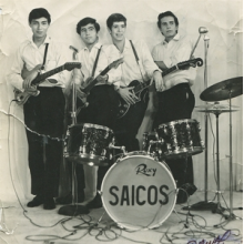 Los Saicos - Demolicion