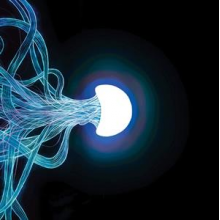 Elephant Tree - Elephant Tree