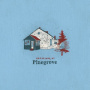 Pinegrove - Amperland, Ny