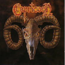 Capricorn - Capricorn