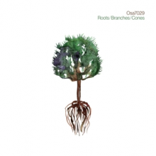 Osa7029 - Roots/Branches/Cones