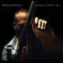Avishai Cohen Trio - From Darkness
