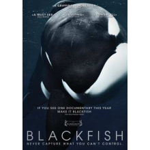Documentary - Blackfish