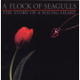 A Flock of Seagulls - Story of a Young Heart