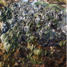 Genetisis - Genetisis