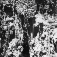 Den Sorte Dod - Den Sorte Dod