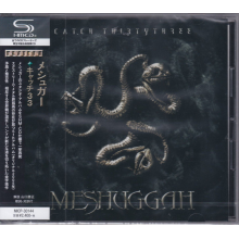 Meshuggah - Catch Thirty Three