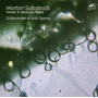 Subotnick, Morton - Electronic Works 2