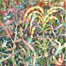Sanders, Dijf - Lichen