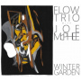 Flow Trio With Joe McPhee - Winter Garden