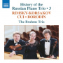 Brahms Trio - History of the Russian Piano Trio Vol.3