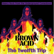 V/A - Brown Acid: the Twelfth Trip