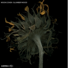 Moon Coven - Slumber Wood