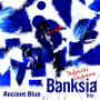 Takashi Sugawa Banksia Trio - Ancient Blue