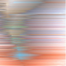 Function - Awakening From the Illusory Self