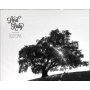 Lord Ruby - Old Oak