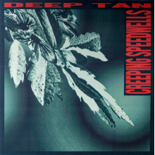 Deep Tan - Creeping Speedwells