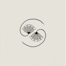 Godspeed You! Black Emperor - G_d's Pee At State's End