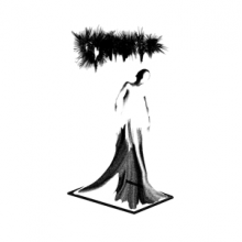 Cryptae - Vestigal