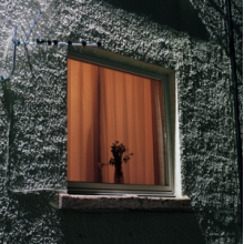 Wyldest - Monthly Friend