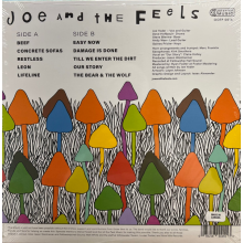 Joe & the Feels - Unsupervised