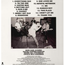 Descendents - Everything Sucks