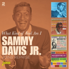 Davis, Sammy -Jr.- - What Kind of Fool Am I