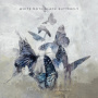 White Moth Black Butterfly - Cost of Dreaming