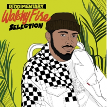 Walshy Fire - Riddimentary Selection