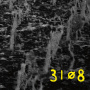 31o8 - 31o8 (Ylw)