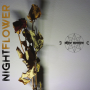 Ohne Nomen - Nightflower